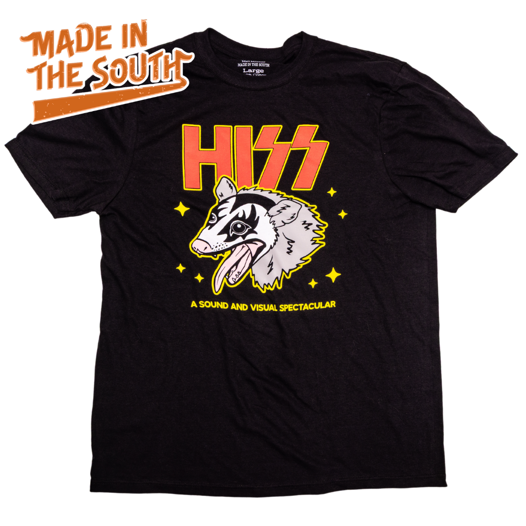 HISS - A Sound and Visual Spectacular